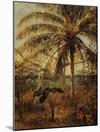 Palm Tree, Nassau, 1892-Albert Bierstadt-Mounted Giclee Print