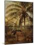 Palm Tree, Nassau, 1892-Albert Bierstadt-Mounted Giclee Print