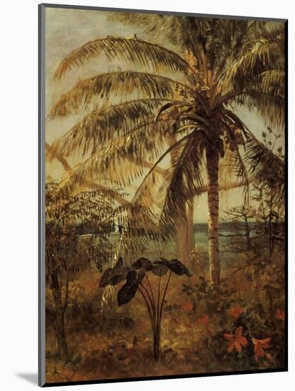 Palm Tree, Nassau, 1892-Albert Bierstadt-Mounted Giclee Print