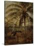 Palm Tree, Nassau, 1892-Albert Bierstadt-Stretched Canvas