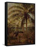 Palm Tree, Nassau, 1892-Albert Bierstadt-Framed Stretched Canvas