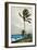 Palm Tree, Nassau, 1898-Winslow Homer-Framed Giclee Print