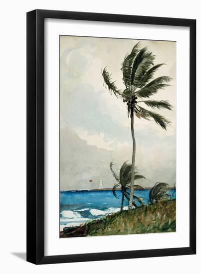 Palm Tree, Nassau, 1898-Winslow Homer-Framed Giclee Print