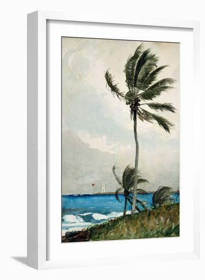 Palm Tree, Nassau, 1898-Winslow Homer-Framed Giclee Print