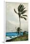 Palm Tree, Nassau, 1898-Winslow Homer-Framed Giclee Print