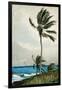 Palm Tree, Nassau, 1898-Winslow Homer-Framed Giclee Print