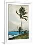 Palm Tree, Nassau, 1898-Winslow Homer-Framed Giclee Print