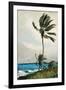 Palm Tree, Nassau, 1898-Winslow Homer-Framed Giclee Print