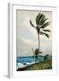 Palm Tree, Nassau, 1898-Winslow Homer-Framed Giclee Print