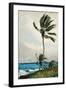 Palm Tree, Nassau, 1898-Winslow Homer-Framed Giclee Print