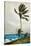 Palm Tree, Nassau, 1898-Winslow Homer-Stretched Canvas