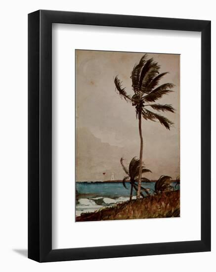 Palm Tree, Nassau-Winslow Homer-Framed Art Print