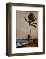 Palm Tree, Nassau-Winslow Homer-Framed Art Print