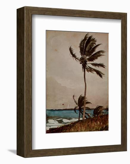 Palm Tree, Nassau-Winslow Homer-Framed Art Print