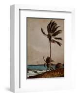 Palm Tree, Nassau-Winslow Homer-Framed Art Print