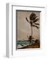 Palm Tree, Nassau-Winslow Homer-Framed Art Print