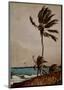 Palm Tree, Nassau-Winslow Homer-Mounted Art Print