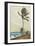 Palm Tree, Nassau-Winslow Homer-Framed Collectable Print