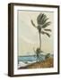 Palm Tree, Nassau-Winslow Homer-Framed Collectable Print