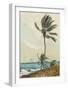 Palm Tree, Nassau-Winslow Homer-Framed Collectable Print