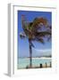 Palm Tree of Castaway Cay, Bahamas, Caribbean-Kymri Wilt-Framed Photographic Print