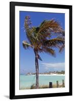 Palm Tree of Castaway Cay, Bahamas, Caribbean-Kymri Wilt-Framed Photographic Print