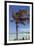 Palm Tree of Castaway Cay, Bahamas, Caribbean-Kymri Wilt-Framed Photographic Print