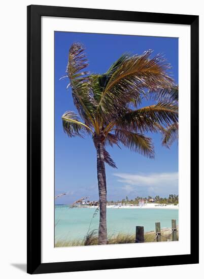 Palm Tree of Castaway Cay, Bahamas, Caribbean-Kymri Wilt-Framed Photographic Print