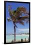 Palm Tree of Castaway Cay, Bahamas, Caribbean-Kymri Wilt-Framed Photographic Print