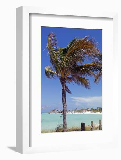 Palm Tree of Castaway Cay, Bahamas, Caribbean-Kymri Wilt-Framed Photographic Print