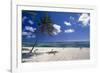 Palm Tree on a Beach, Brakers, Grand Cayman-George Oze-Framed Photographic Print