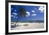 Palm Tree on a Beach, Brakers, Grand Cayman-George Oze-Framed Photographic Print