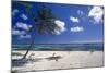 Palm Tree on a Beach, Brakers, Grand Cayman-George Oze-Mounted Photographic Print