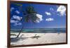 Palm Tree on a Beach, Brakers, Grand Cayman-George Oze-Framed Photographic Print