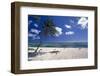 Palm Tree on a Beach, Brakers, Grand Cayman-George Oze-Framed Photographic Print