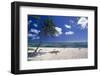 Palm Tree on a Beach, Brakers, Grand Cayman-George Oze-Framed Photographic Print