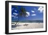 Palm Tree on a Beach, Brakers, Grand Cayman-George Oze-Framed Photographic Print