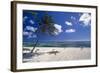 Palm Tree on a Beach, Brakers, Grand Cayman-George Oze-Framed Photographic Print