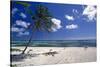 Palm Tree on a Beach, Brakers, Grand Cayman-George Oze-Stretched Canvas