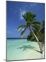 Palm Tree on a Tropical Beach on Embudu in the Maldive Islands, Indian Ocean-Fraser Hall-Mounted Photographic Print