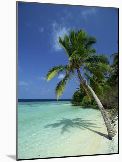 Palm Tree on a Tropical Beach on Embudu in the Maldive Islands, Indian Ocean-Fraser Hall-Mounted Photographic Print