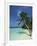 Palm Tree on a Tropical Beach on Embudu in the Maldive Islands, Indian Ocean-Fraser Hall-Framed Photographic Print