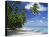 Palm Tree on a Tropical Beach on the Island of Tobago, West Indies, Caribbean, Central America-Miller John-Stretched Canvas