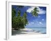 Palm Tree on a Tropical Beach on the Island of Tobago, West Indies, Caribbean, Central America-Miller John-Framed Photographic Print