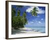 Palm Tree on a Tropical Beach on the Island of Tobago, West Indies, Caribbean, Central America-Miller John-Framed Photographic Print