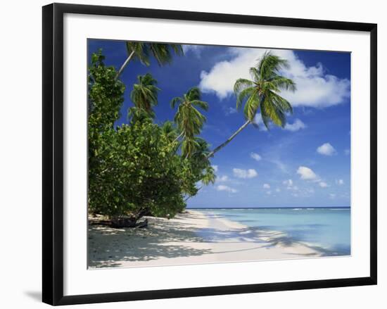 Palm Tree on a Tropical Beach on the Island of Tobago, West Indies, Caribbean, Central America-Miller John-Framed Photographic Print