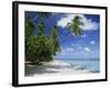 Palm Tree on a Tropical Beach on the Island of Tobago, West Indies, Caribbean, Central America-Miller John-Framed Photographic Print