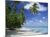 Palm Tree on a Tropical Beach on the Island of Tobago, West Indies, Caribbean, Central America-Miller John-Mounted Photographic Print