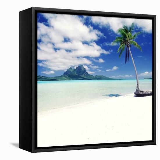 Palm Tree on a Tropical Beach-null-Framed Stretched Canvas