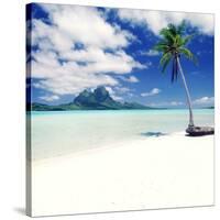 Palm Tree on a Tropical Beach-null-Stretched Canvas